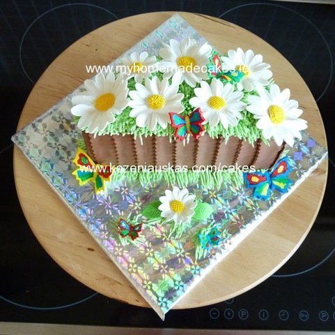 Daisy cake