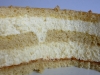 Mascarpone cheese cake