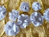 wild flowers