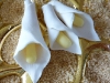 callas