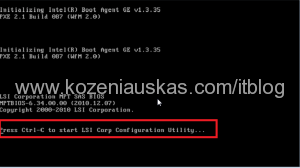 Press Ctrl-C to start LSI Corp Configuration Utility...